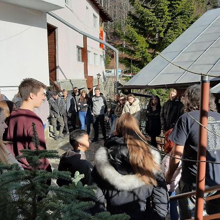 Casa Cristina_ Cabana Buşteni エクステリア 写真