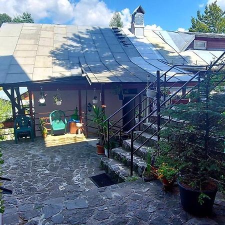Casa Cristina_ Cabana Buşteni エクステリア 写真