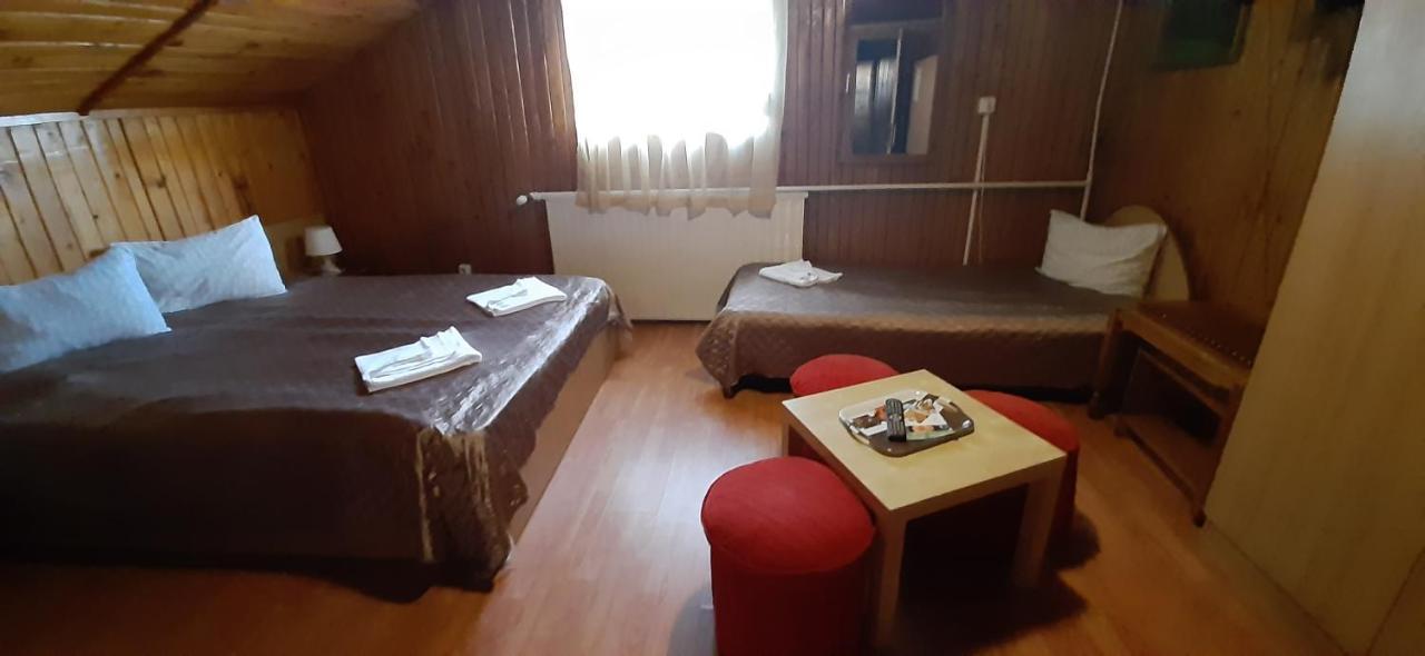 Casa Cristina_ Cabana Buşteni エクステリア 写真