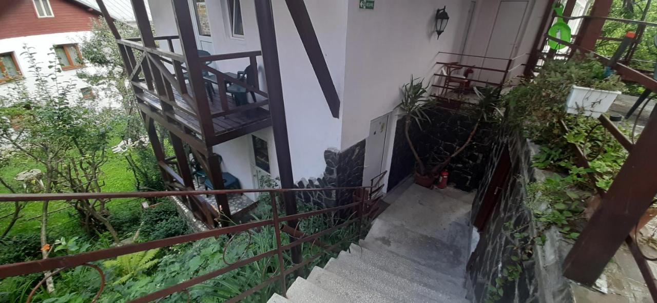 Casa Cristina_ Cabana Buşteni エクステリア 写真