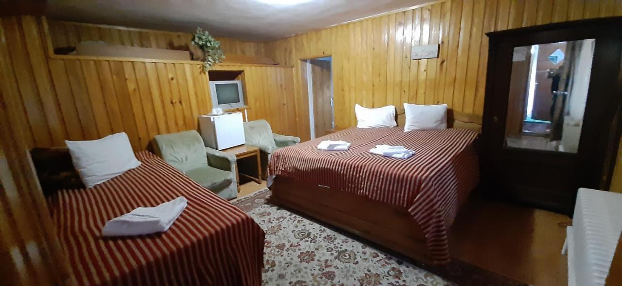 Casa Cristina_ Cabana Buşteni エクステリア 写真