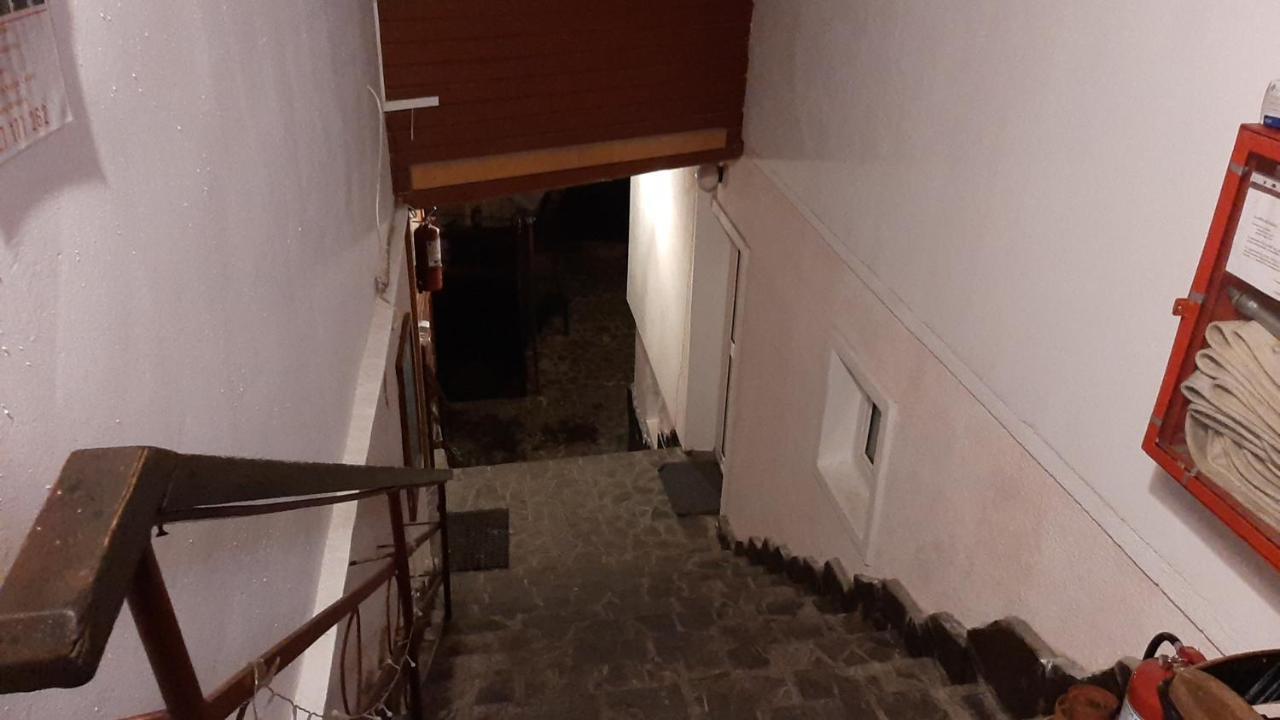 Casa Cristina_ Cabana Buşteni エクステリア 写真