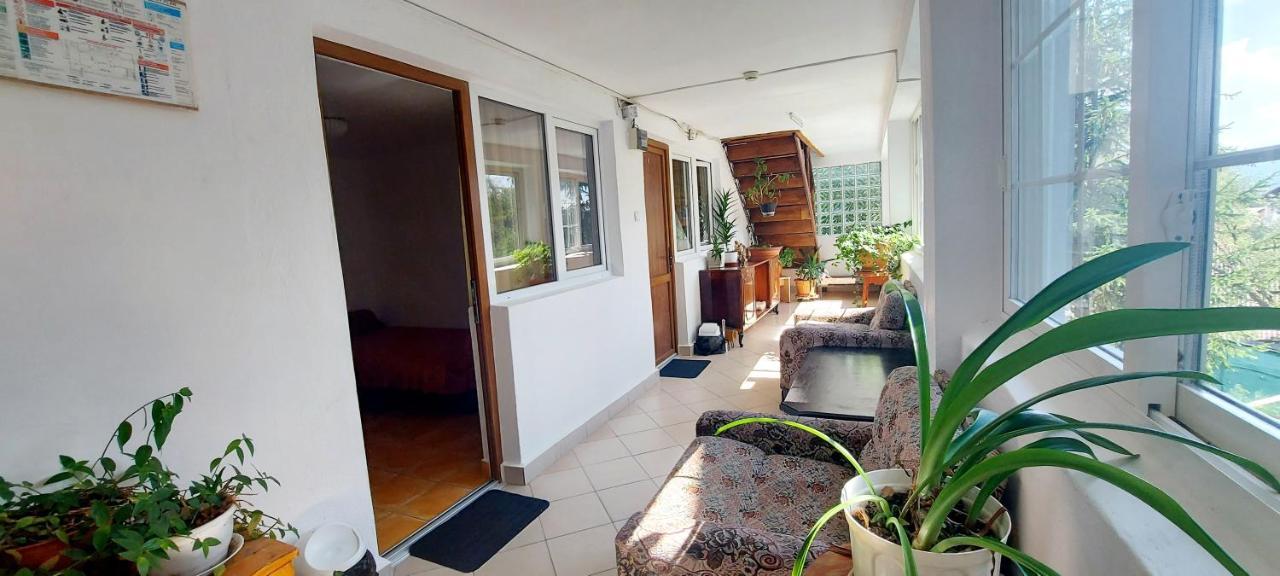 Casa Cristina_ Cabana Buşteni エクステリア 写真