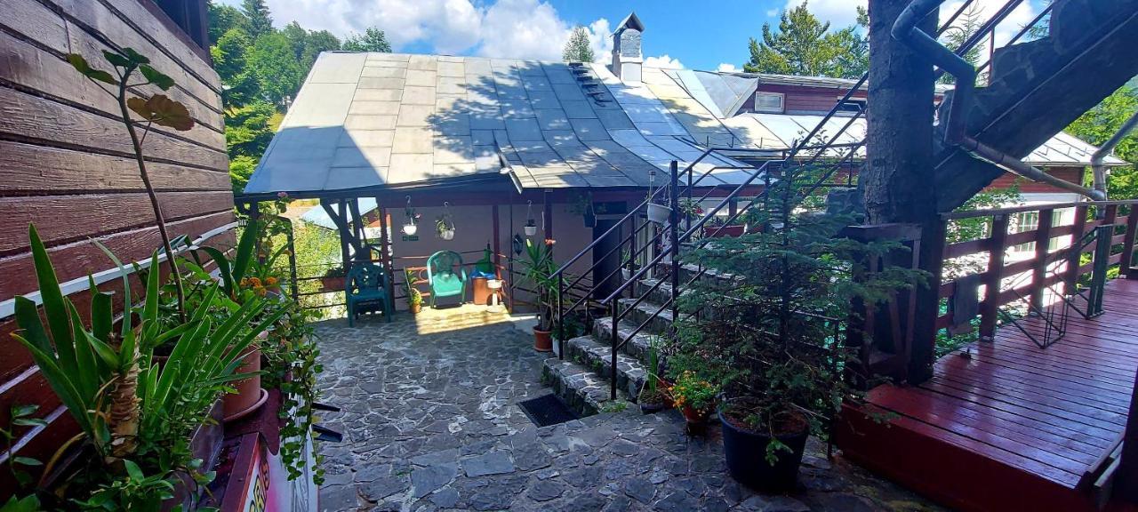 Casa Cristina_ Cabana Buşteni エクステリア 写真